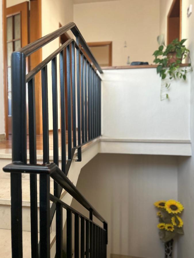 루카 Albi'S House,Terrazza ,Wi-Fi, Parcheggio, Ac 아파트 외부 사진
