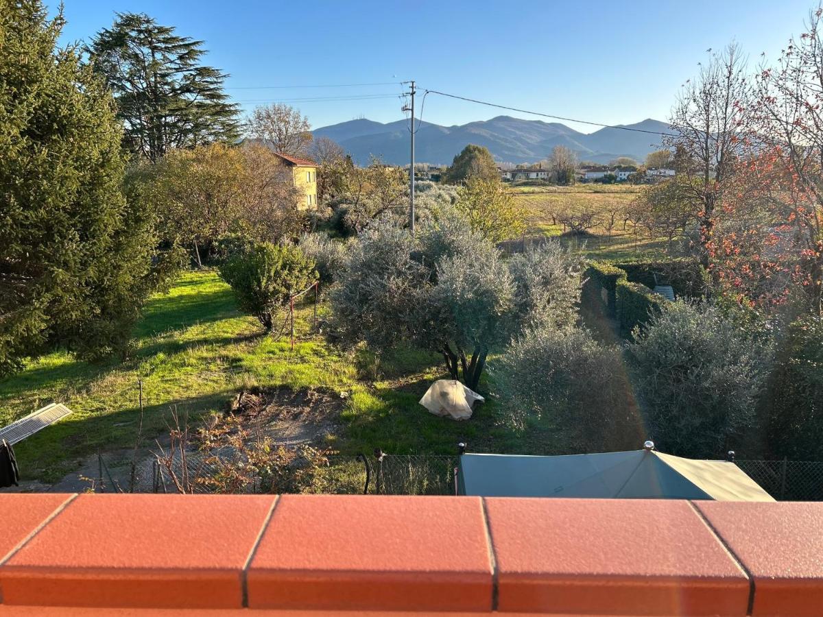 루카 Albi'S House,Terrazza ,Wi-Fi, Parcheggio, Ac 아파트 외부 사진