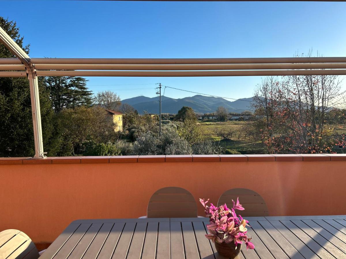 루카 Albi'S House,Terrazza ,Wi-Fi, Parcheggio, Ac 아파트 외부 사진