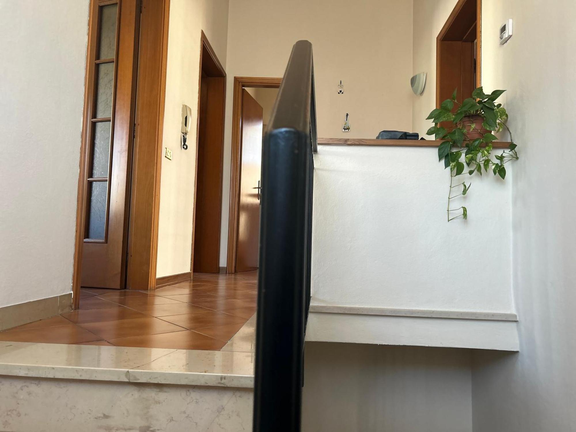 루카 Albi'S House,Terrazza ,Wi-Fi, Parcheggio, Ac 아파트 외부 사진